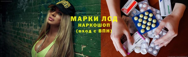 гашик Алексеевка