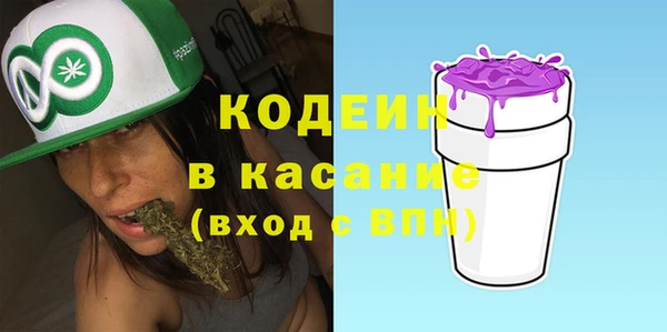 гашик Алексеевка